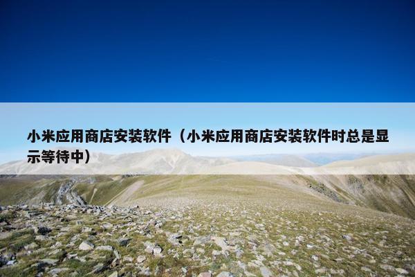 小米应用商店安装软件（小米应用商店安装软件时总是显示等待中）