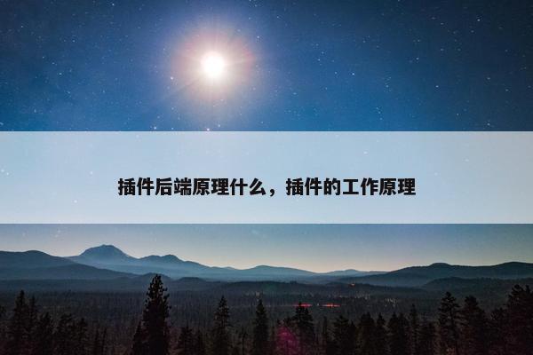 插件后端原理什么，插件的工作原理