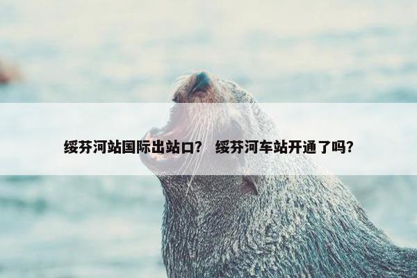 绥芬河站国际出站口？ 绥芬河车站开通了吗？