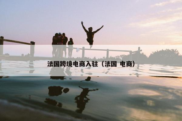 法国跨境电商入驻（法国 电商）