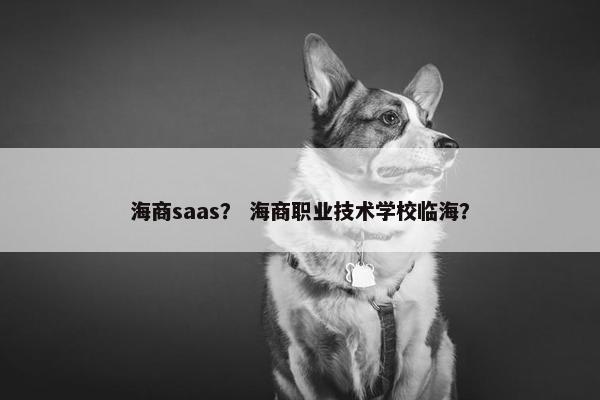 海商saas？ 海商职业技术学校临海？