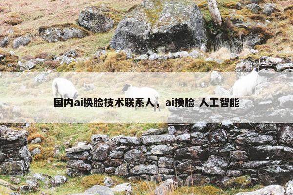 国内ai换脸技术联系人，ai换脸 人工智能