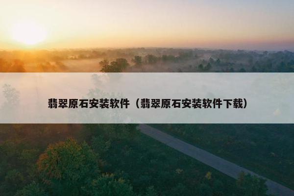 翡翠原石安装软件（翡翠原石安装软件下载）