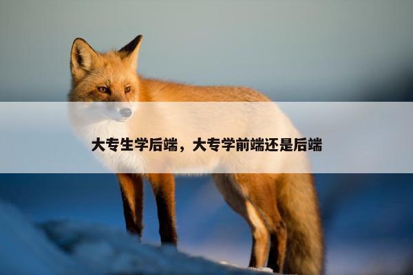 大专生学后端，大专学前端还是后端