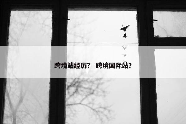 跨境站经历？ 跨境国际站？