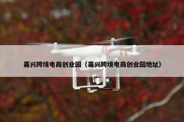 嘉兴跨境电商创业园（嘉兴跨境电商创业园地址）
