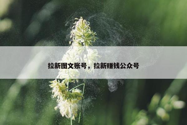 拉新图文账号，拉新赚钱公众号