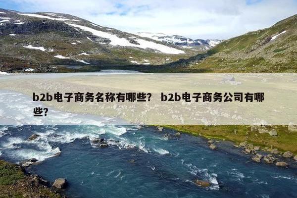 b2b电子商务名称有哪些？ b2b电子商务公司有哪些？