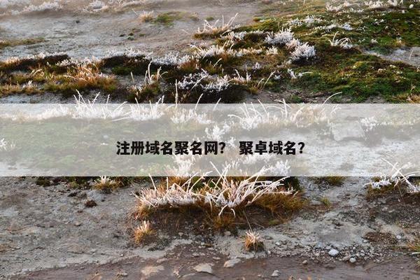 注册域名聚名网？ 聚卓域名？