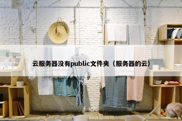 云服务器没有public文件夹（服务器的云）