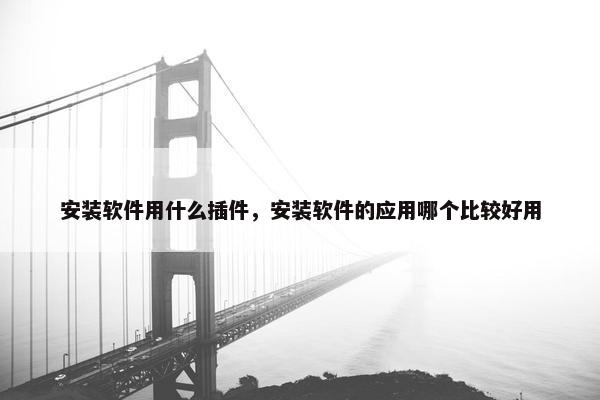 安装软件用什么插件，安装软件的应用哪个比较好用