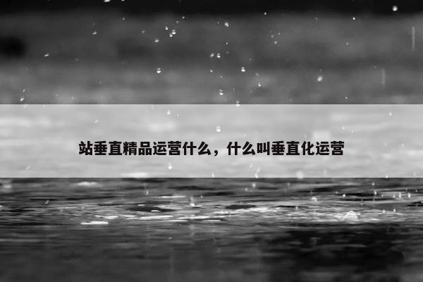 站垂直精品运营什么，什么叫垂直化运营