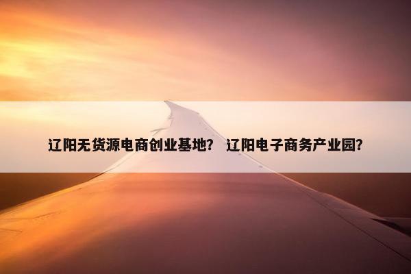 辽阳无货源电商创业基地？ 辽阳电子商务产业园？