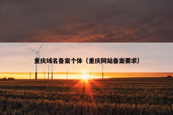重庆域名备案个体（重庆网站备案要求）