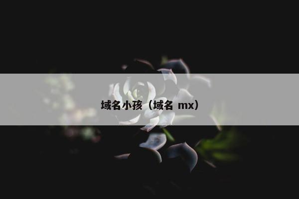 域名小孩（域名 mx）