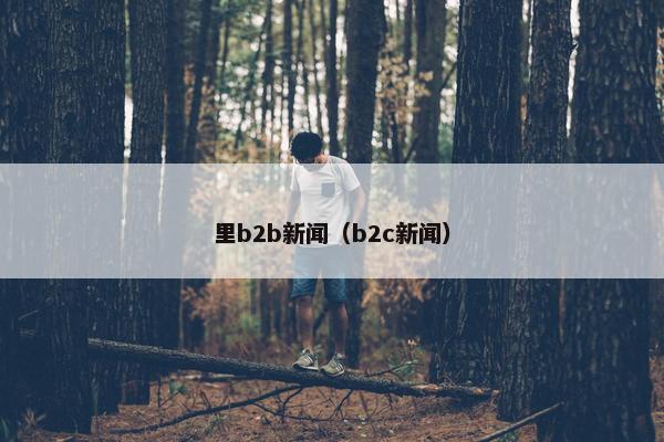 里b2b新闻（b2c新闻）