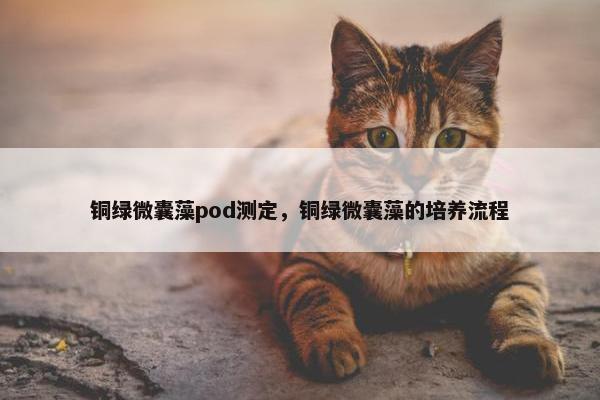 铜绿微囊藻pod测定，铜绿微囊藻的培养流程