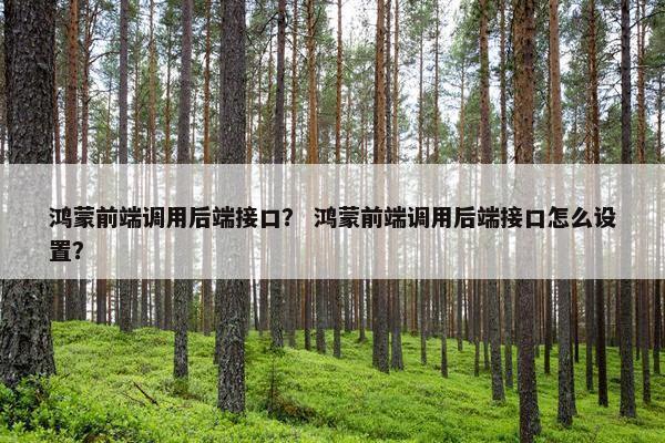 鸿蒙前端调用后端接口？ 鸿蒙前端调用后端接口怎么设置？