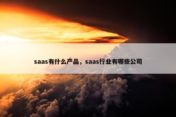 saas有什么产品，saas行业有哪些公司