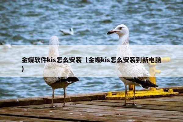 金蝶软件kis怎么安装（金蝶kis怎么安装到新电脑）