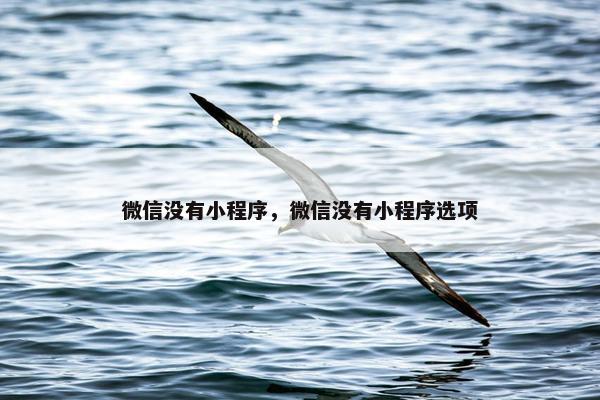 微信没有小程序，微信没有小程序选项