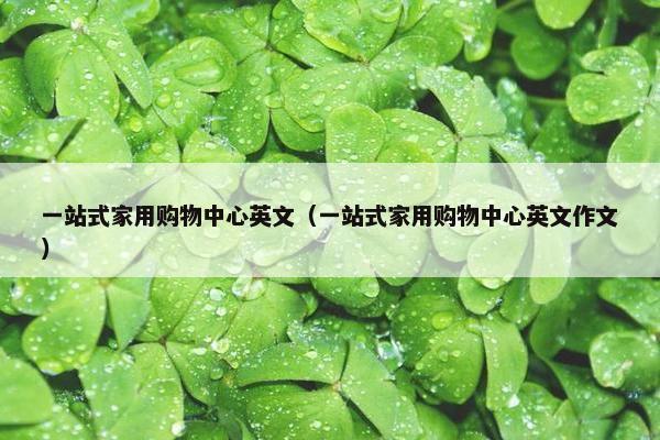 一站式家用购物中心英文（一站式家用购物中心英文作文）