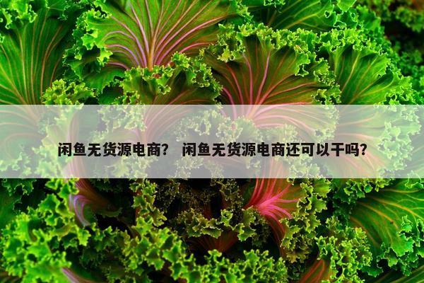 闲鱼无货源电商？ 闲鱼无货源电商还可以干吗？