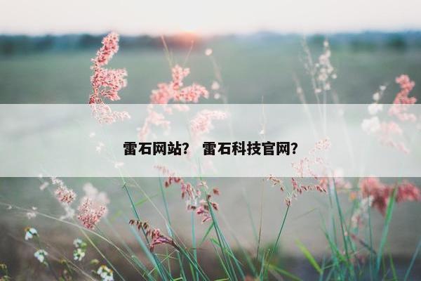 雷石网站？ 雷石科技官网？