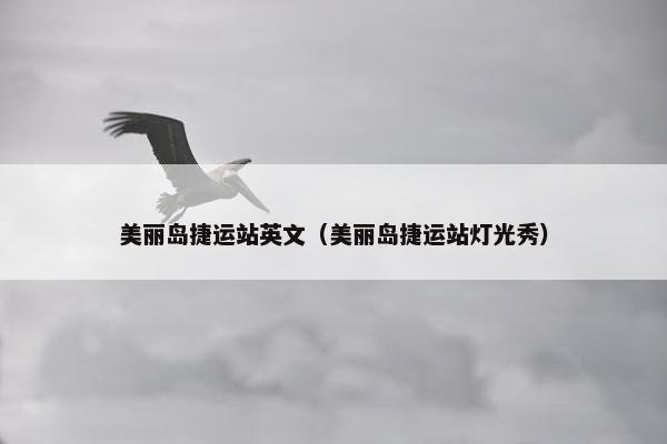 美丽岛捷运站英文（美丽岛捷运站灯光秀）