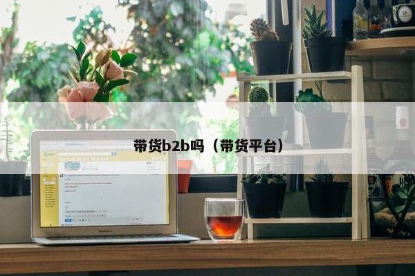 带货b2b吗（带货平台）