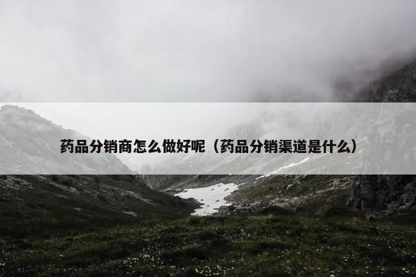 药品分销商怎么做好呢（药品分销渠道是什么）