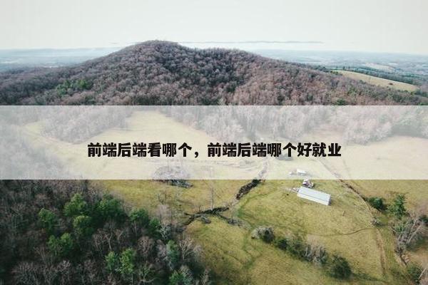 前端后端看哪个，前端后端哪个好就业
