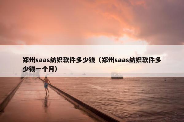 郑州saas纺织软件多少钱（郑州saas纺织软件多少钱一个月）