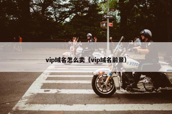 vip域名怎么卖（vip域名前景）