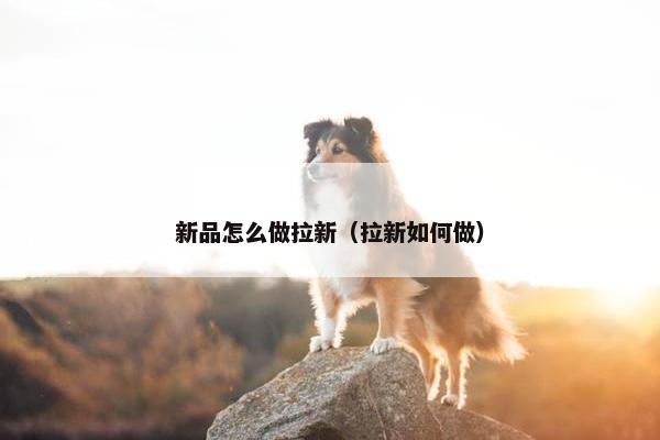 新品怎么做拉新（拉新如何做）