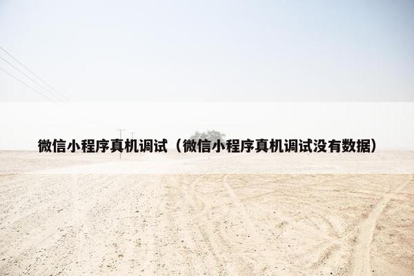 微信小程序真机调试（微信小程序真机调试没有数据）