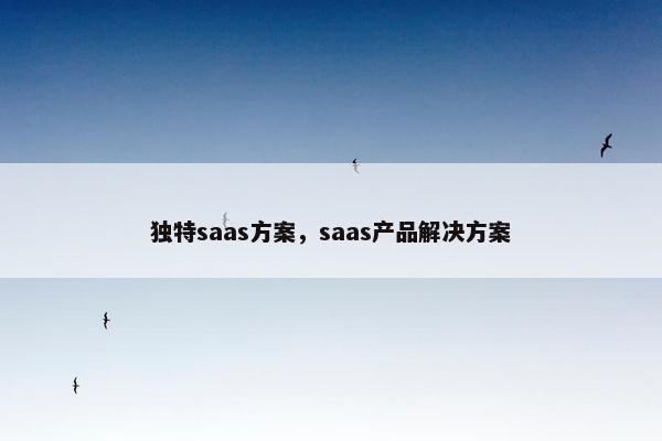 独特saas方案，saas产品解决方案