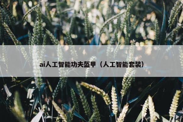 ai人工智能功夫盔甲（人工智能套装）