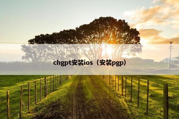 chgpt安装ios（安装pgp）