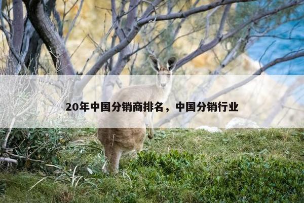 20年中国分销商排名，中国分销行业