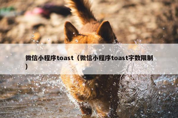微信小程序toast（微信小程序toast字数限制）