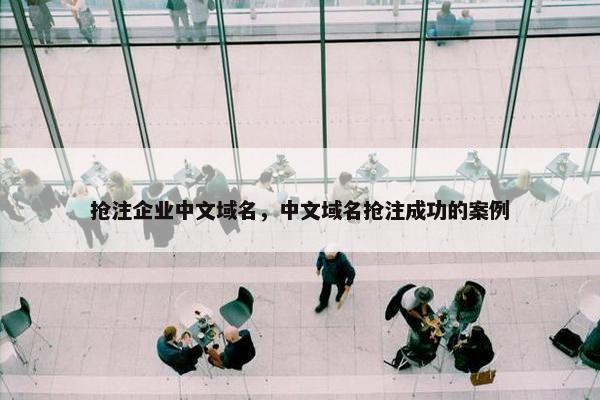 抢注企业中文域名，中文域名抢注成功的案例