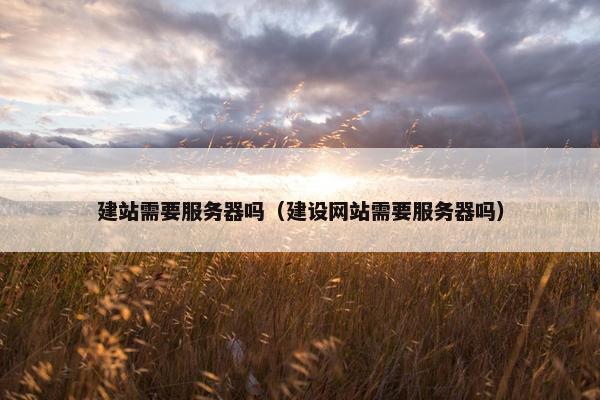 建站需要服务器吗（建设网站需要服务器吗）