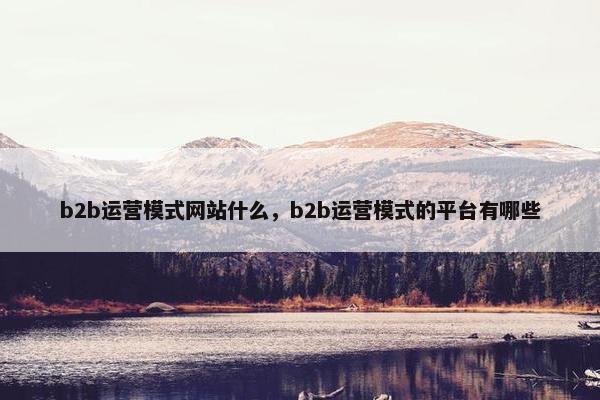b2b运营模式网站什么，b2b运营模式的平台有哪些