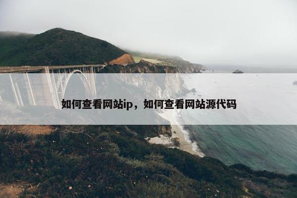 如何查看网站ip，如何查看网站源代码