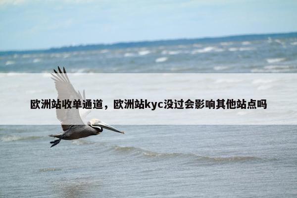 欧洲站收单通道，欧洲站kyc没过会影响其他站点吗