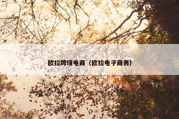 欧拉跨境电商（欧拉电子商务）
