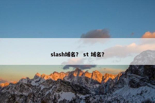 slash域名？ st 域名？