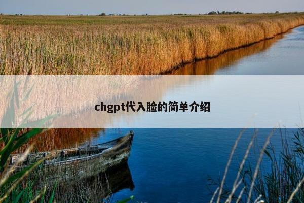 chgpt代入脸的简单介绍