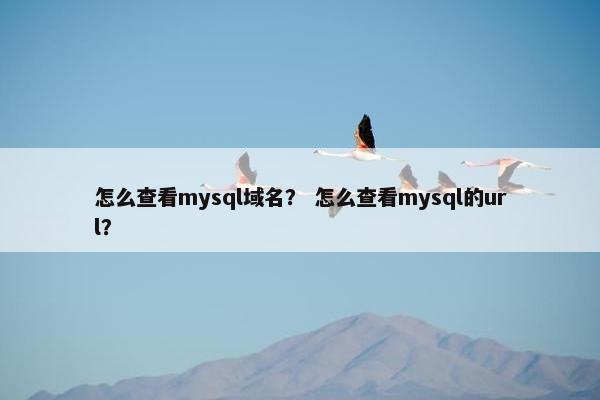 怎么查看mysql域名？ 怎么查看mysql的url？